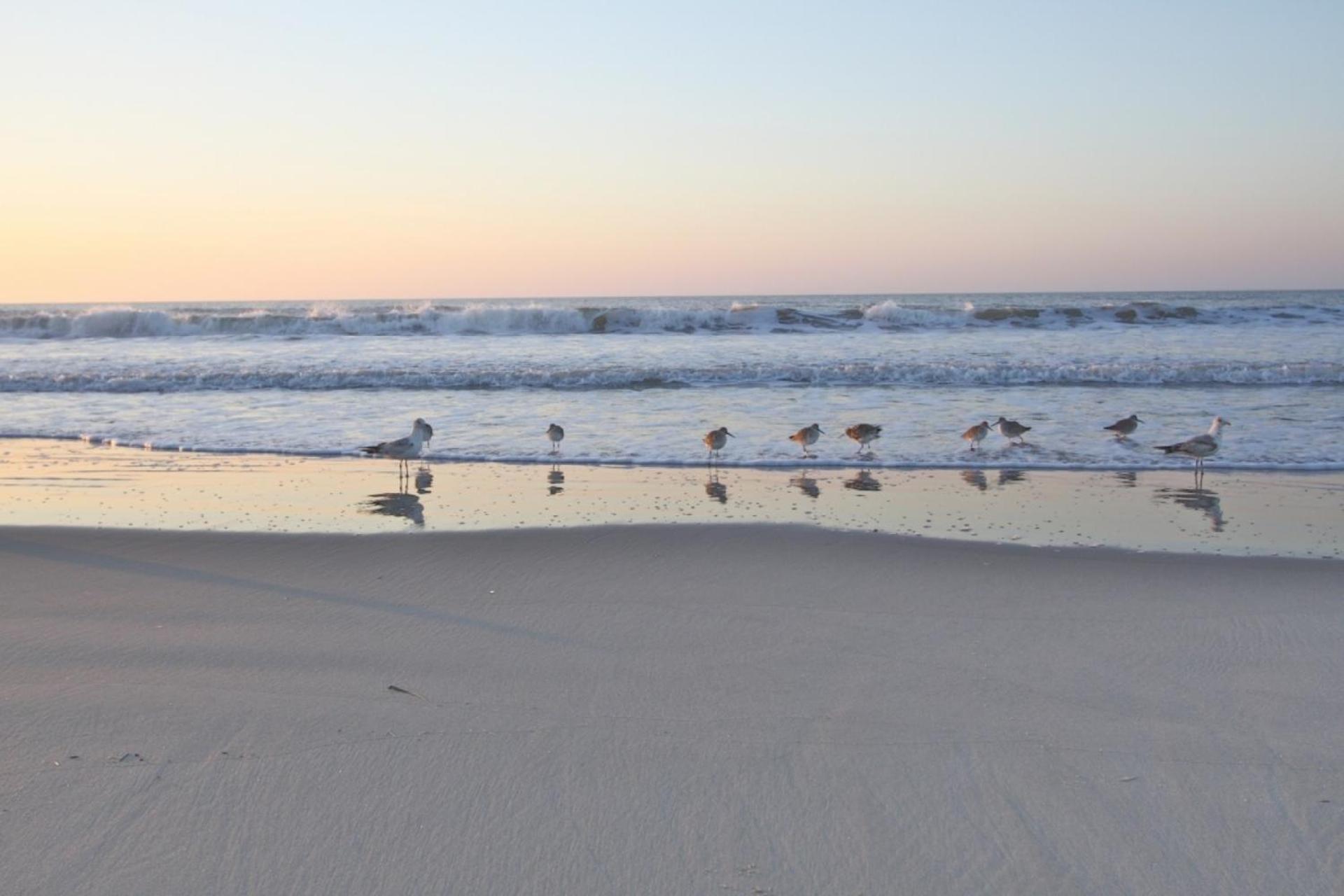Serenity Folly Beach Esterno foto